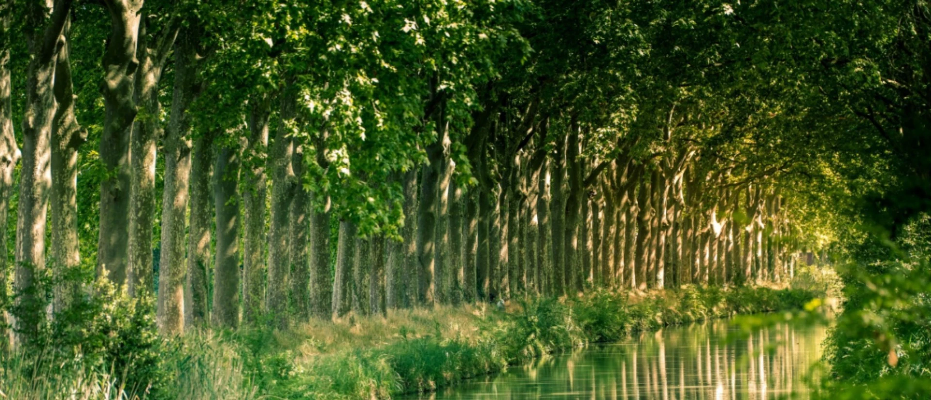 Renewing Our Commitment  to Healthier Waterways  in France